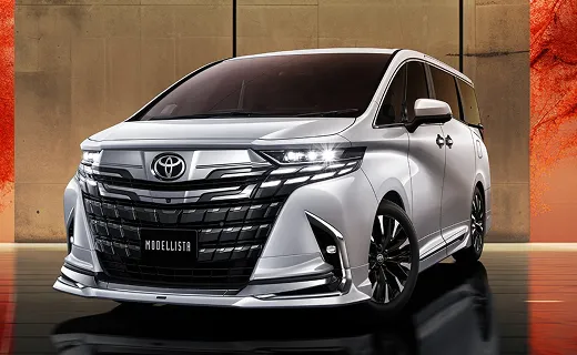ALPHARD customized parts